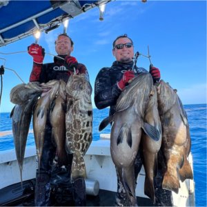 BSC Fisheries Grouper Catch