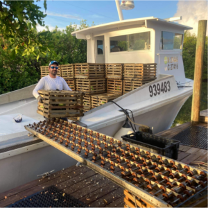 BSC Fisheries Stone Crab Cages